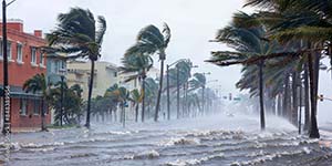 Storm Services